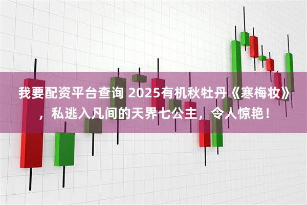 我要配资平台查询 2025有机秋牡丹《寒梅妆》，私逃入凡间的天界七公主，令人惊艳！